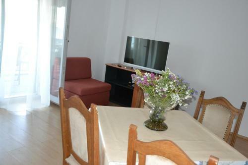 Apartments Artina