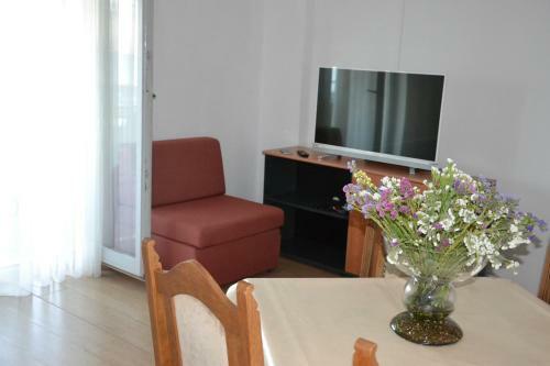Apartments Artina