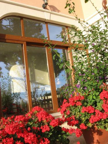 Hostal Guest House Caterina