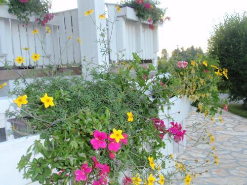 Hostal House Zupan