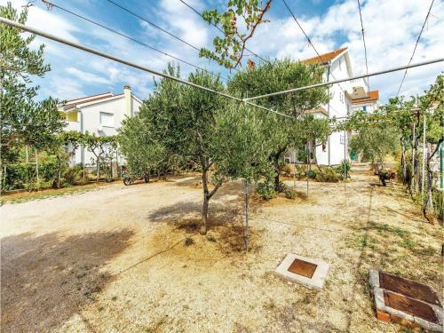 Apartment Barbat