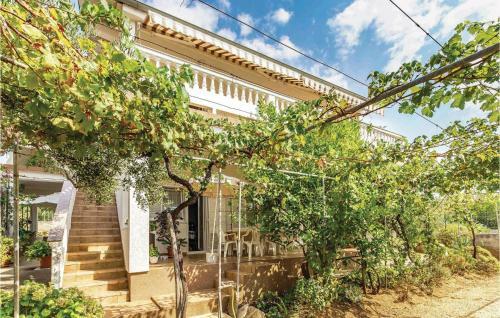Apartment Barbat