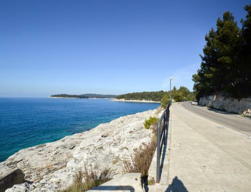 Apartment In Pula/istrien 11445