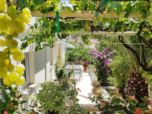 Apartments In Pula/istrien 11378