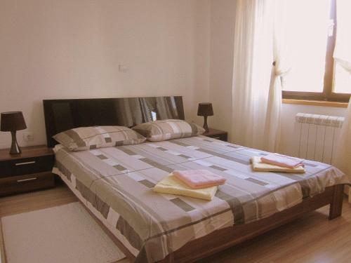 Apartment Iva