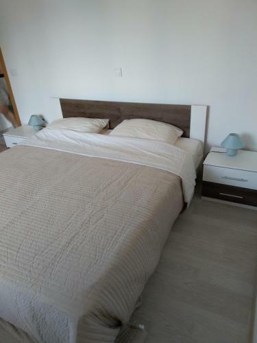 Apartment Iva