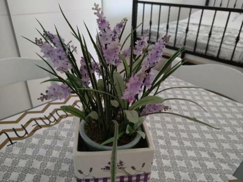 Apartments Anica