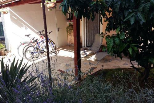 Apartments Anica