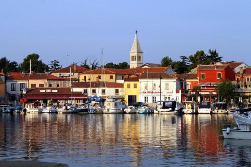 Apartment Novigrad 7120b