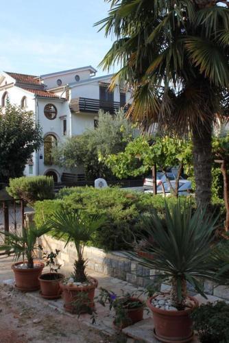 Apartment Novigrad 7120b