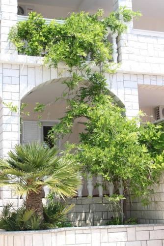 Apartment Stara Novalja 6469c