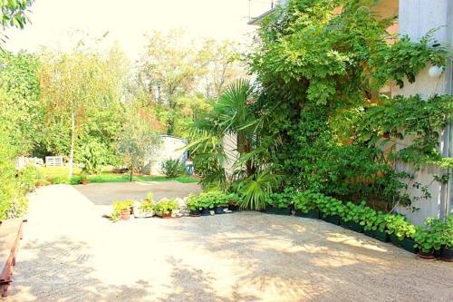 Apartment In Porec/istrien 10377