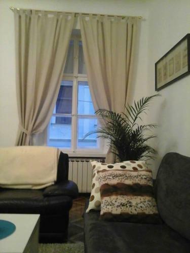 Apartments Radi?eva