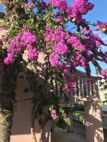 Medulin Pink House Tanja