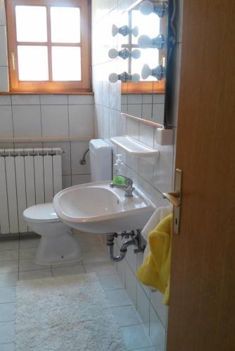 Apartments And Rooms With A Swimming Pool Novigrad - 11242