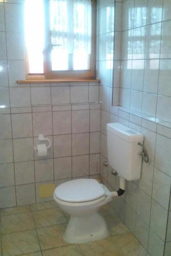 Apartments And Rooms With A Swimming Pool Novigrad - 11242