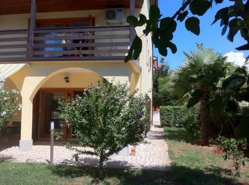 Apartments And Rooms With A Swimming Pool Novigrad - 11242