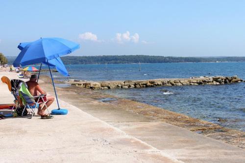 Apartments And Rooms With A Swimming Pool Novigrad - 11242