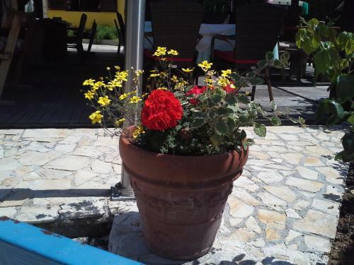 Apartment Bonaca