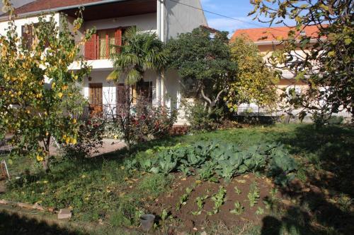 Apartment Biograd Na Moru 5899d