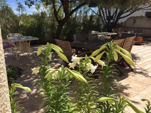 Bed&breakfast Vanni