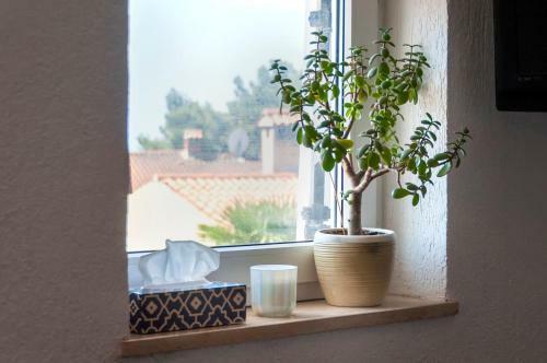 Apartamentos Guesthouse Ava