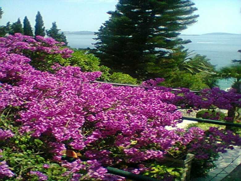 Hostal Guest House Vila Nina