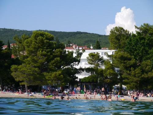 B&B Galija