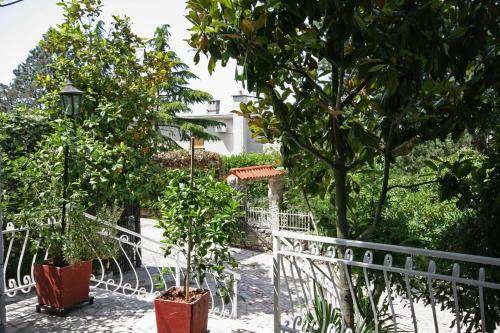 Apartment Crikvenica 5492a