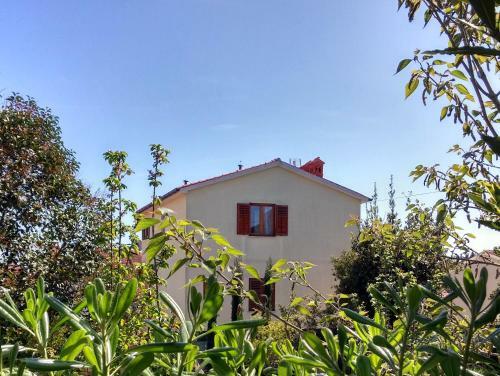 Mata Apartments