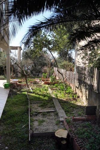 Apartments With A Parking Space Baska Voda (makarska) - 6057
