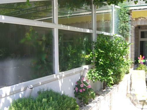 Apartments Villa Jarak