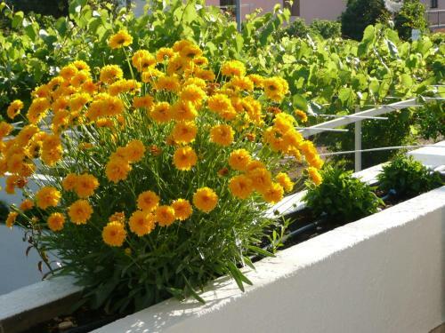 Hostal Apartment Nima Orebic
