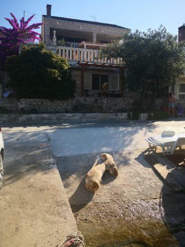 Apartments Villa Baric