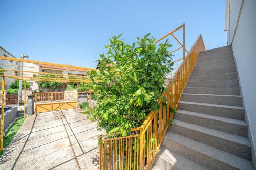 Apartment Klavdija 1