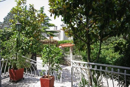 Apartments And Rooms With Parking Space Crikvenica - 5492