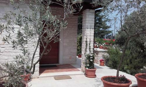 Apartment Valter