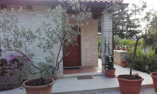 Apartment Valter