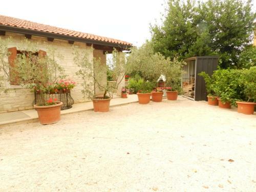 Apartment Valter