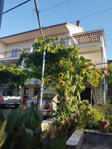 Hostal Triple Room Arbanija 1125a