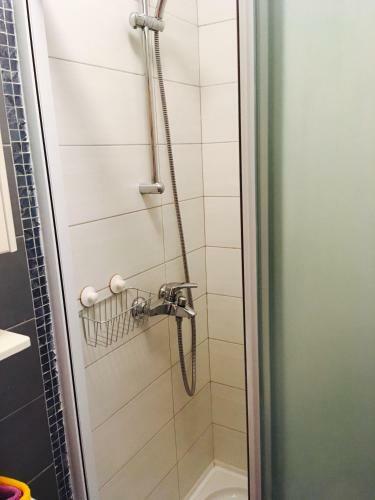 Hostal Rondina House