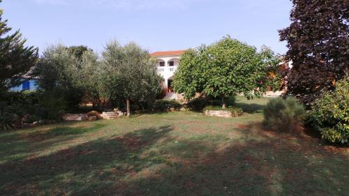 Apartment In Pula/istrien 17418
