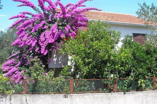 Apartment Arbanija 6062a
