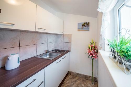 Apartamentos Villa Karpatia