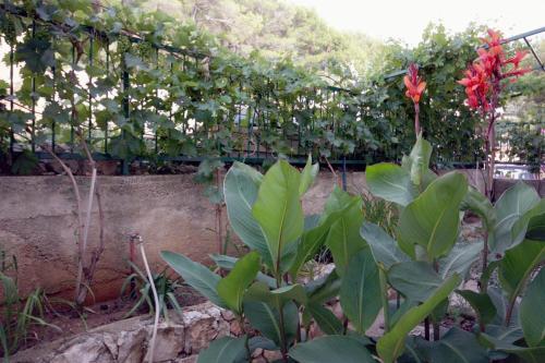 Apartment Tisno 3224a