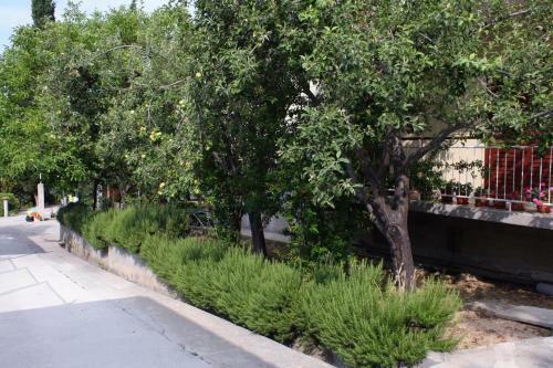 Apartment Palit 5048a