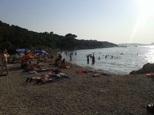 Hostal Apartments Villa Sirena
