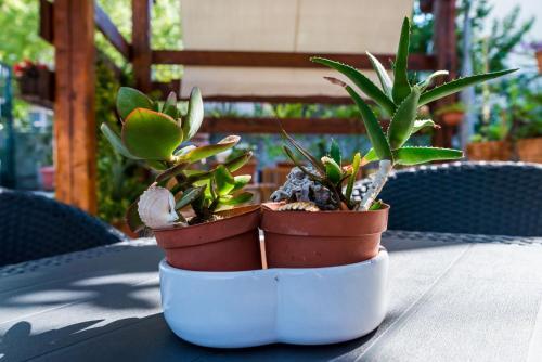 Hostal Apartments & Room Frane