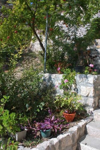 Apartment Hvar 3229a