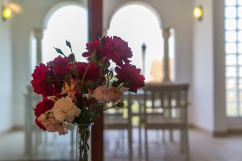 Hostal Guesthouse Alma
